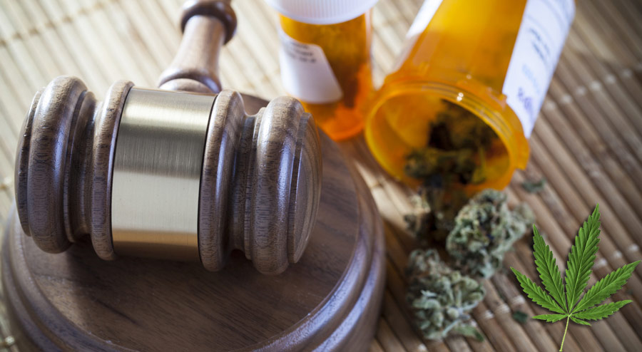 Cannabis Legalization