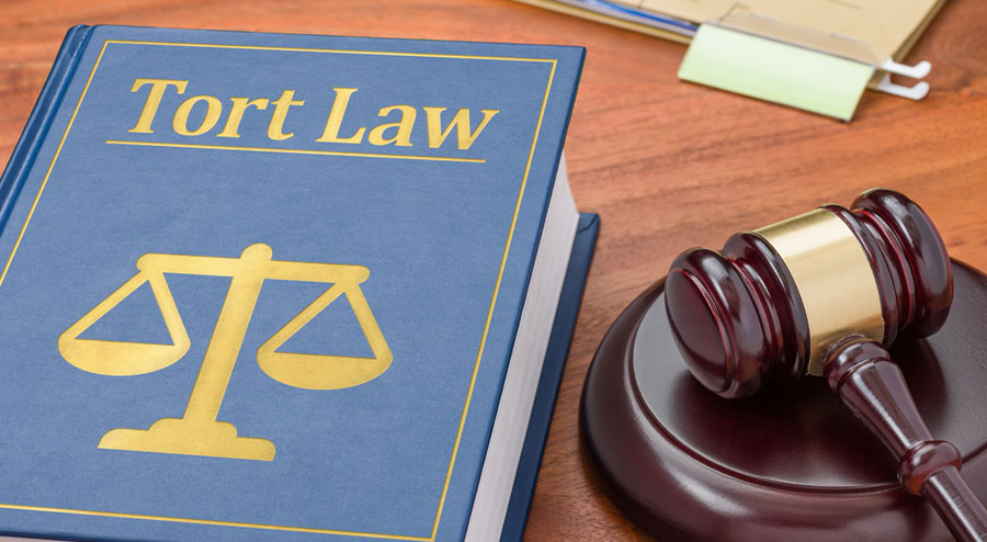The Basics of Tort Law