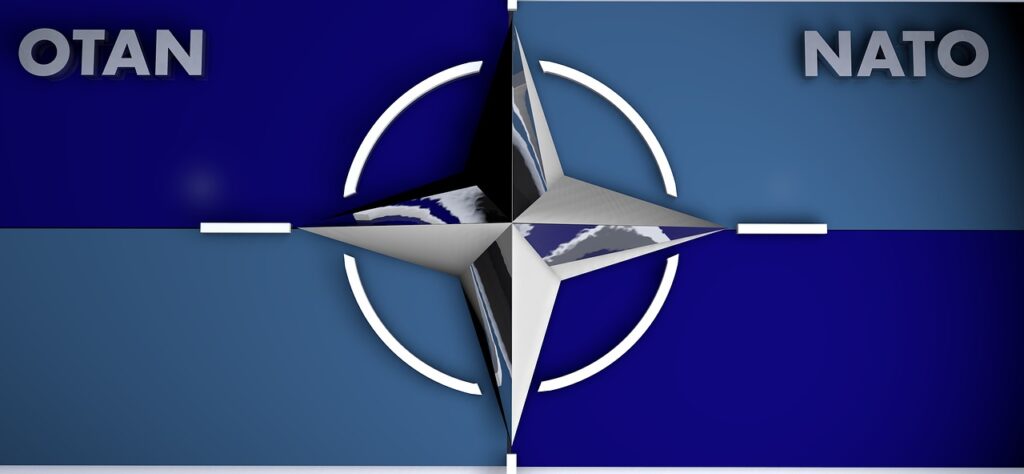 nato logo image