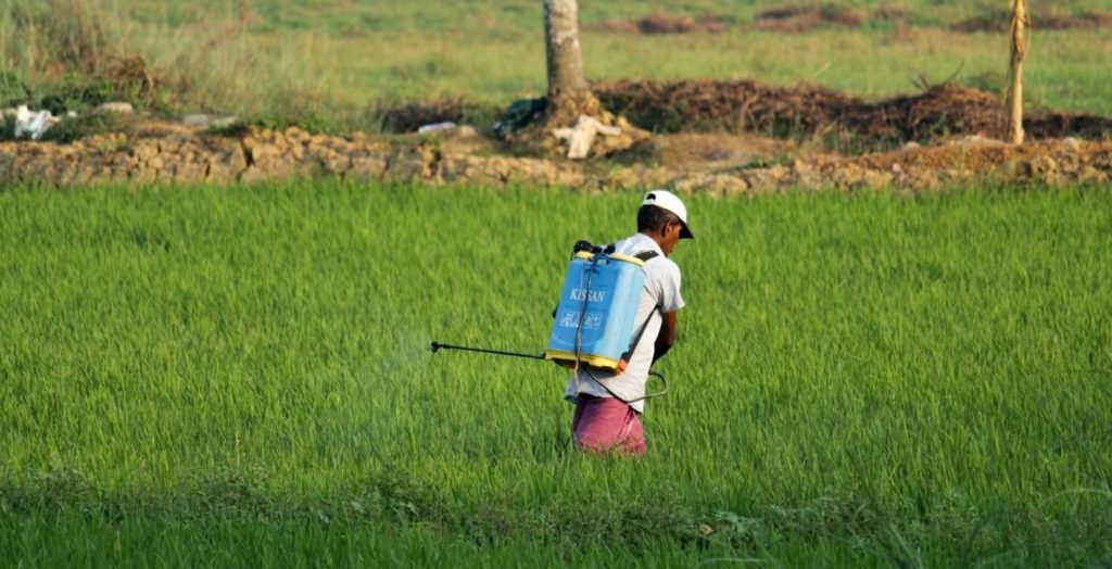 man spraying pesticide