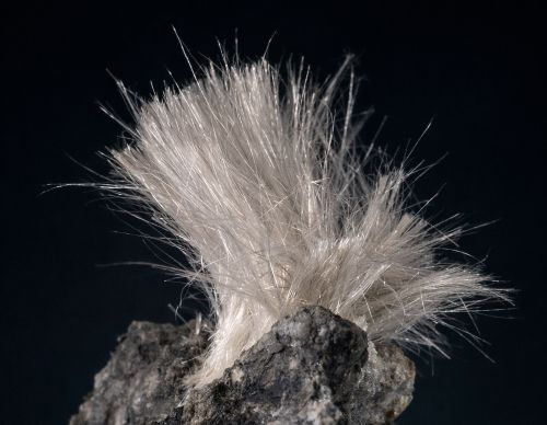 tremolite asbestos